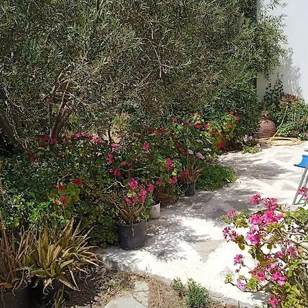 Athina 3 דירה *
