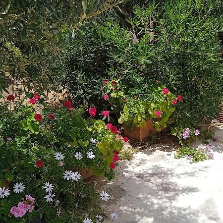 Athina 3 *