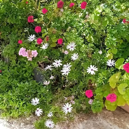Athina 3 דירה