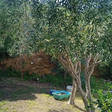 Athina 3 באטסי