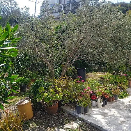 Athina 3 *