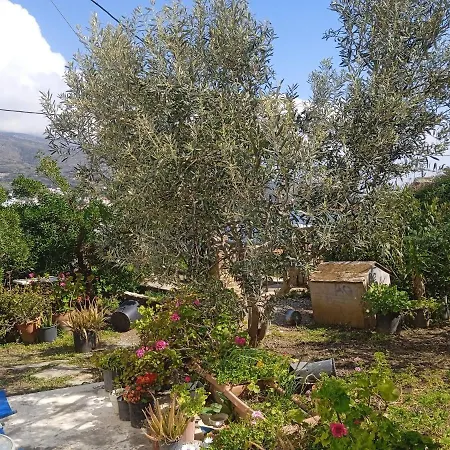 דירה Athina 3 באטסי