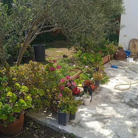 Athina 3 דירה באטסי