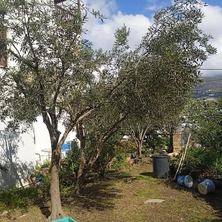 Athina 3 באטסי