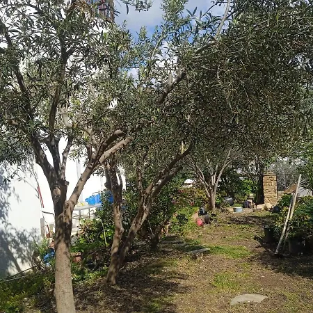 Apartment Athina 3 *